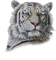 tiger face - безплатен png анимиран GIF