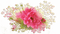 Rose Decoration - GIF animé gratuit