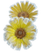 nbl-flower - 無料png アニメーションGIF