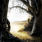 forest background - безплатен png анимиран GIF