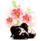 Diane75 Spring Cat flowers - GIF animé gratuit