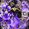 animated background purple milla1959 - Besplatni animirani GIF animirani GIF