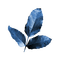 kikkapink deco scrap blue leaves - PNG gratuit GIF animé