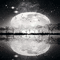 soave background animated  moon night black white