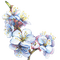 Цветок дерева, акварель - δωρεάν png κινούμενο GIF