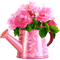 Watering.Can.Roses.Pink - bezmaksas png animēts GIF