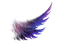 wings 6 - Nitsa P - PNG gratuit GIF animé