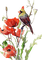 loly33  oiseaux coquelicot - Free PNG Animated GIF