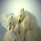 ours blanc - GIF animado gratis GIF animado