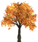 tree autumn automne - PNG gratuit GIF animé