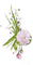 Spring Flowers - ilmainen png animoitu GIF