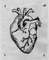 Corazón gif - Бесплатный анимированный гифка анимированный гифка