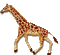 Giraffe - GIF animado grátis Gif Animado