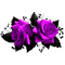 Gothic.Roses.Black.Purple - PNG gratuit GIF animé