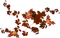 leaves - 免费PNG 动画 GIF
