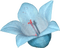 kikkapink spring blue flower - png gratis GIF animasi
