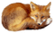 fox - zadarmo png animovaný GIF