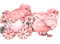 kikkapink easter deco bird flowers pink teal - 免费PNG 动画 GIF