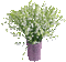 Blumen, Flowers, Maiglöckchen - Nemokamas animacinis gif animuotas GIF