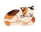 calico cat laying sticker - бесплатно png анимированный гифка