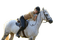cheval - png gratis GIF animado