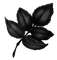 Black.Leaves.Feuilles.Branch.Victoriabea - darmowe png animowany gif