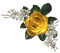 yellow rose white flowers deco - бесплатно png анимированный гифка