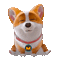 flying dog moco - GIF animado gratis GIF animado