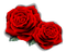Red rose - ilmainen png animoitu GIF