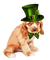 Chien St-patrick:) - Free PNG Animated GIF