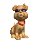chien - Darmowy animowany GIF animowany gif