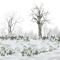 winter  background by nataliplus - PNG gratuit GIF animé