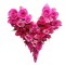 Roses.Fleurs.Cœur.Heart.Pink.Victoriabea - PNG gratuit GIF animé