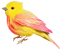 gala birds - ilmainen png animoitu GIF