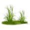 Kaz_Creations Garden Deco Grass - PNG gratuit GIF animé