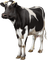 vaca - δωρεάν png κινούμενο GIF