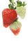 strawberries Bb2 - png gratis GIF animasi
