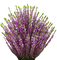 plants katrin - gratis png geanimeerde GIF