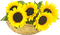 sunflower basket panier tournesol