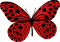 Kaz_Creations Deco Butterflies Butterfly Colours - 無料png アニメーションGIF