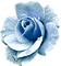 Rose.Blue - png gratuito GIF animata
