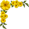 Flores - PNG gratuit GIF animé