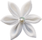 Kaz_Creations Deco Scrap Flower White