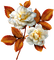 autumn  flowers by nataliplus - Free PNG Animated GIF