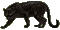 black panther bp - Gratis animeret GIF animeret GIF