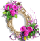 rose frame Bb2 - gratis png geanimeerde GIF