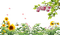loly33 frame fleurs - gratis png geanimeerde GIF