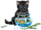 dolceluna spring cat vintage deco summer fish - Free PNG Animated GIF