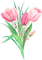 pink tulips watercolor Bb2 - png gratis GIF animado