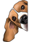maj beagle chien - ingyenes png animált GIF